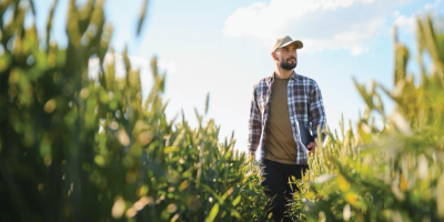 farmer looking at field farmer looking at field
